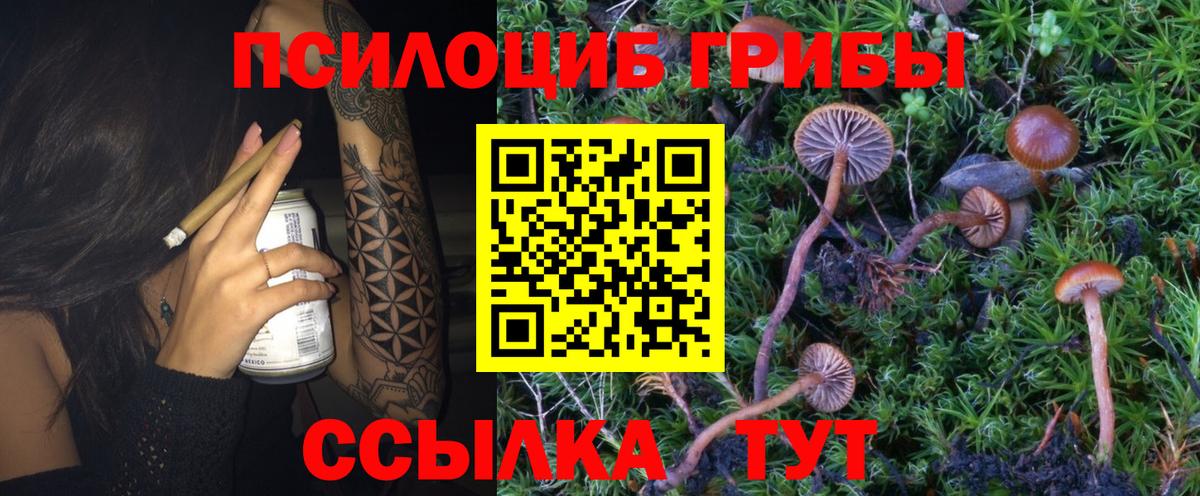 продажа наркотиков  Галлюциногенные грибы MAGIC MUSHROOMS  Искитим  Вход с VPN  Псилоцибиновые грибы GOLDEN TEACHER 